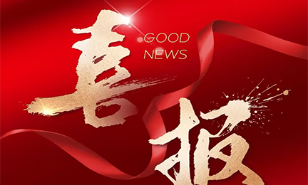 喜报丨华体会官方版网站登录入口-华体会（中国）入选2024粤港澳大湾区企业创新力榜单